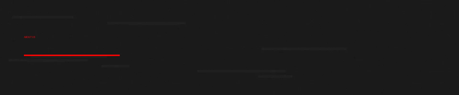 成人网站 关于我们页面